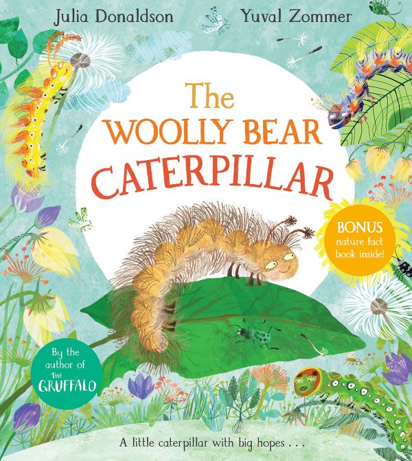 The Wooly Bear Caterpillar