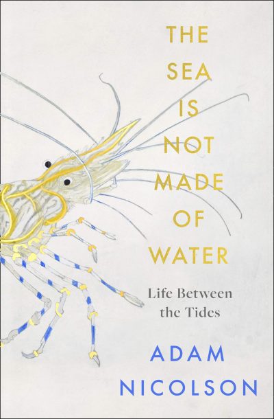 The Sea Is Not Made of Water