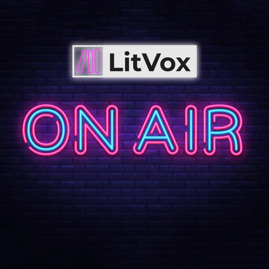 LitVox on RTE Radio 1