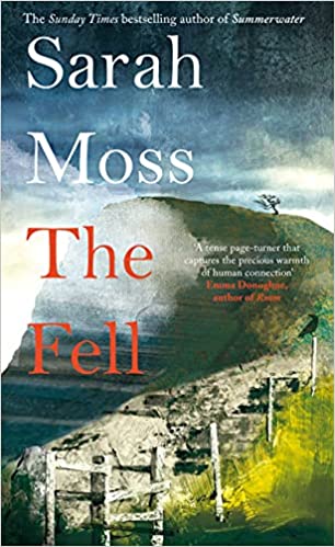The Fell by Sarah Moss